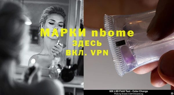 прущие грибы Нягань