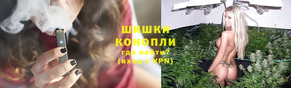 сатива Нязепетровск