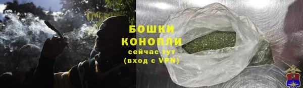 сатива Нязепетровск
