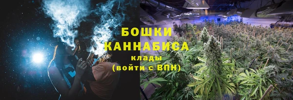 прущие грибы Нягань