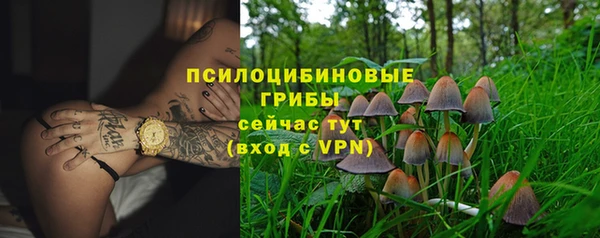 прущие грибы Остров