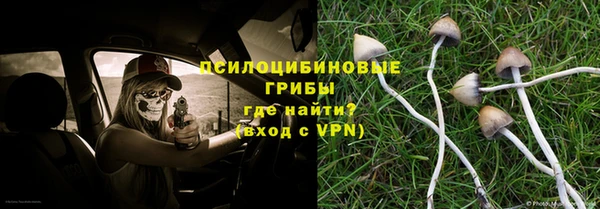 первитин Няндома