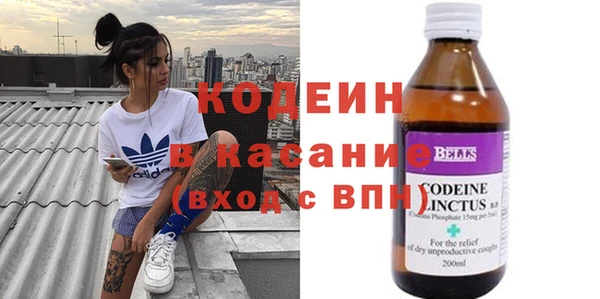 сатива Нязепетровск